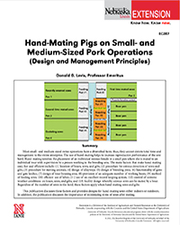 Hand-mating Sows and Gilts on Smaller Pork Operations
