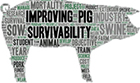 improving pig survivability logo