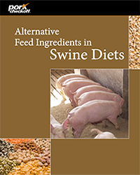 Alternative  Feed Ingredients in Swine Diets