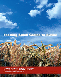 Feeding Small Grains to Swine