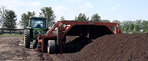 compost pile