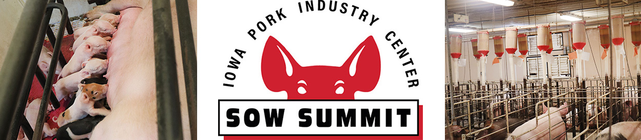 Sowsummit logo and pigs.