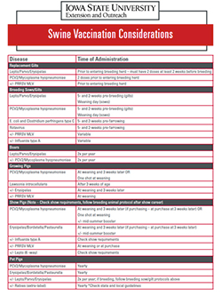 Swine Vaccination Considerations.