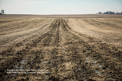 Crop field where liquid swine manure has been injected.