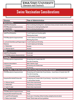 Swine vaccination considerations list.