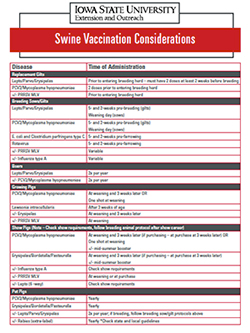 Swine vaccination considerations list.