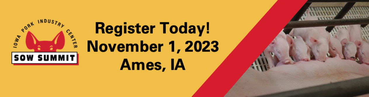 Sow Summit November 2023.